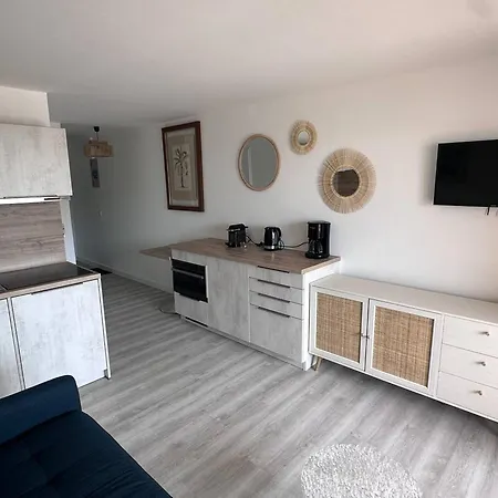 Apartment T2 Avec Piscine Et Vue Proche Plages - Fr-1-768-76